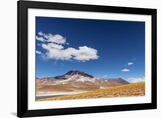 Desert Lagoon, San Pedro De Atacama, Antofagasta Region, Chile-Daniele Falletta-Framed Photographic Print
