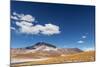 Desert Lagoon, San Pedro De Atacama, Antofagasta Region, Chile-Daniele Falletta-Mounted Photographic Print