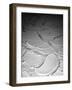 Desert Lake-NaxArt-Framed Art Print