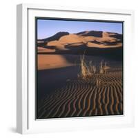 Desert Landscape at Merzouga, Morocco, North Africa-null-Framed Photographic Print