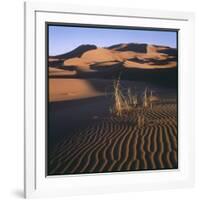 Desert Landscape at Merzouga, Morocco, North Africa-null-Framed Photographic Print