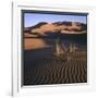 Desert Landscape at Merzouga, Morocco, North Africa-null-Framed Photographic Print