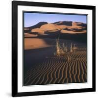 Desert Landscape at Merzouga, Morocco, North Africa-null-Framed Photographic Print