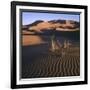 Desert Landscape at Merzouga, Morocco, North Africa-null-Framed Photographic Print