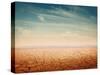 Desert Landscape Background Global Warming Concept-Elena Schweitzer-Stretched Canvas