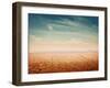 Desert Landscape Background Global Warming Concept-Elena Schweitzer-Framed Photographic Print