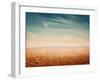 Desert Landscape Background Global Warming Concept-Elena Schweitzer-Framed Photographic Print