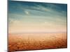 Desert Landscape Background Global Warming Concept-Elena Schweitzer-Mounted Photographic Print