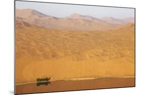 Desert landscape, Badain Jaran Desert, Inner Mongolia, China-Ellen Anon-Mounted Photographic Print