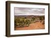 Desert Landscape, Canyonlands National Park, Utah. USA-Stefano Amantini-Framed Photographic Print