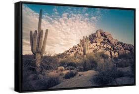 Desert Landscape in Scottsdale, Phoenix, Arizona Area - Image Cross Processed-BCFC-Framed Stretched Canvas