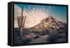 Desert Landscape in Scottsdale, Phoenix, Arizona Area - Image Cross Processed-BCFC-Framed Stretched Canvas
