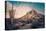 Desert Landscape in Scottsdale, Phoenix, Arizona Area - Image Cross Processed-BCFC-Stretched Canvas