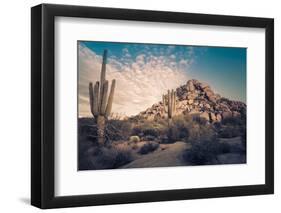 Desert Landscape in Scottsdale, Phoenix, Arizona Area - Image Cross Processed-BCFC-Framed Photographic Print