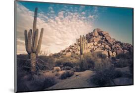 Desert Landscape in Scottsdale, Phoenix, Arizona Area - Image Cross Processed-BCFC-Mounted Photographic Print