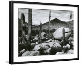 Desert Landscape, Mexico, 1967-Brett Weston-Framed Premium Photographic Print