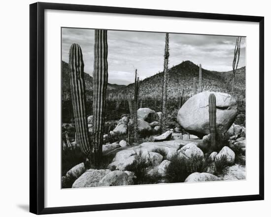 Desert Landscape, Mexico, 1967-Brett Weston-Framed Photographic Print