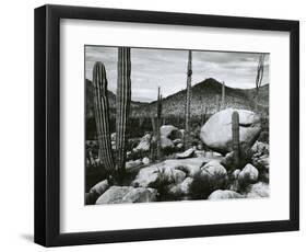 Desert Landscape, Mexico, 1967-Brett Weston-Framed Photographic Print
