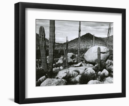 Desert Landscape, Mexico, 1967-Brett Weston-Framed Photographic Print