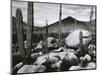 Desert Landscape, Mexico, 1967-Brett Weston-Mounted Photographic Print