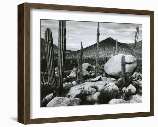 Desert Landscape, Mexico, 1967-Brett Weston-Framed Premium Photographic Print