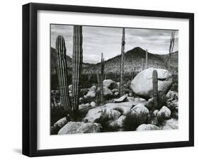 Desert Landscape, Mexico, 1967-Brett Weston-Framed Premium Photographic Print