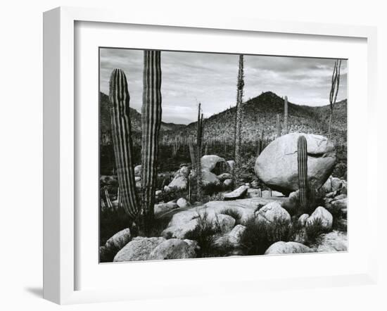 Desert Landscape, Mexico, 1967-Brett Weston-Framed Premium Photographic Print