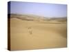 Desert Landscape, Morocco-Michael Brown-Stretched Canvas