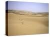 Desert Landscape, Morocco-Michael Brown-Stretched Canvas