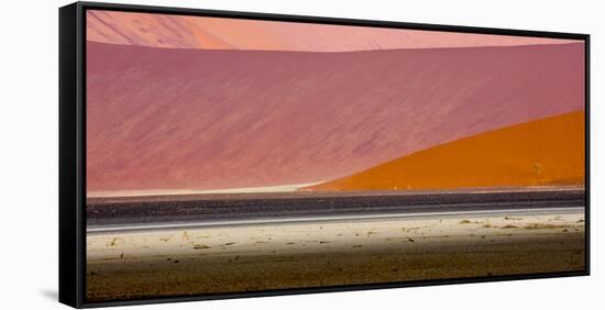 Desert landscape, Namibia, Africa-Art Wolfe Wolfe-Framed Stretched Canvas