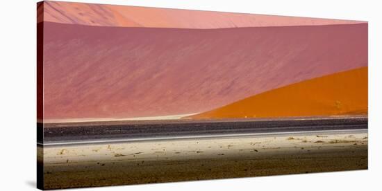 Desert landscape, Namibia, Africa-Art Wolfe Wolfe-Stretched Canvas