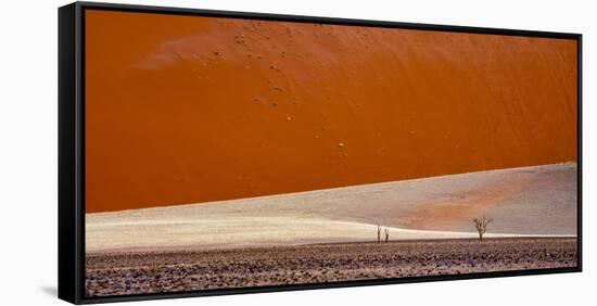 Desert landscape, Namibia, Africa-Art Wolfe Wolfe-Framed Stretched Canvas