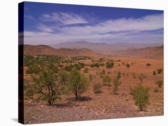 Desert Landscape Near Tafraoute, Morocco, North Africa, Africa-null-Stretched Canvas