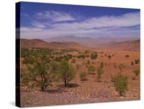 Desert Landscape Near Tafraoute, Morocco, North Africa, Africa-null-Stretched Canvas