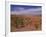 Desert Landscape Near Tafraoute, Morocco, North Africa, Africa-null-Framed Photographic Print