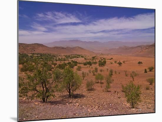 Desert Landscape Near Tafraoute, Morocco, North Africa, Africa-null-Mounted Photographic Print