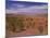 Desert Landscape Near Tafraoute, Morocco, North Africa, Africa-null-Mounted Photographic Print