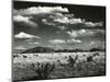 Desert Landscape, New Mexico, 1971-Brett Weston-Mounted Photographic Print