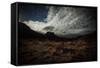 Desert Landscape Onion Creek Canyon Near the Fisher Towers - Moab, Utah-Dan Holz-Framed Stretched Canvas