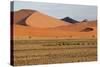 Desert Landscape, Sossusvlei, Namibia, Southern Africa-Eyesee10-Stretched Canvas