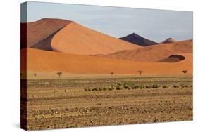 Desert Landscape, Sossusvlei, Namibia, Southern Africa-Eyesee10-Stretched Canvas