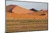 Desert Landscape, Sossusvlei, Namibia, Southern Africa-Eyesee10-Mounted Photographic Print