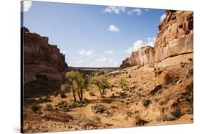 Desert Landscape, Utah, USA-Stefano Amantini-Stretched Canvas