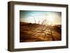 Desert Landscape with Dead Plants in Sand Dunes under Sunny Sky. Global Warming Concept. Nature Bac-Perfect Lazybones-Framed Photographic Print