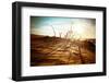 Desert Landscape with Dead Plants in Sand Dunes under Sunny Sky. Global Warming Concept. Nature Bac-Perfect Lazybones-Framed Photographic Print