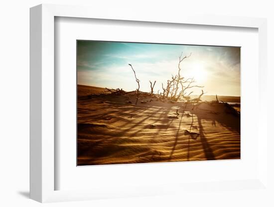 Desert Landscape with Dead Plants in Sand Dunes under Sunny Sky. Global Warming Concept. Nature Bac-Perfect Lazybones-Framed Photographic Print