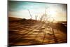 Desert Landscape with Dead Plants in Sand Dunes under Sunny Sky. Global Warming Concept. Nature Bac-Perfect Lazybones-Mounted Photographic Print