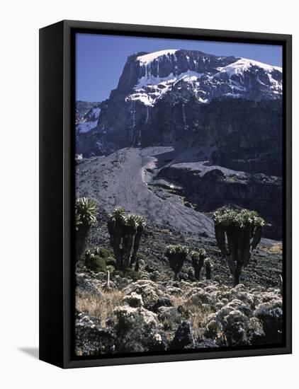 Desert Landscape with Mountain View, Kilimanjaro-Michael Brown-Framed Stretched Canvas