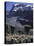 Desert Landscape with Mountain View, Kilimanjaro-Michael Brown-Stretched Canvas