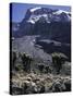 Desert Landscape with Mountain View, Kilimanjaro-Michael Brown-Stretched Canvas